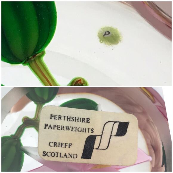 Perthshire 1987C Theobroma Cacao Flower Scallop Faceted Lampwork Paperweight COA - Picture 6 of 16